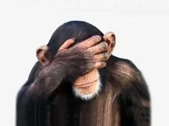 Who are you -why are you here?-Airplanes-Sky-spacecraft in the cosmos-human cell -wireless technology -quest -Body -Mind-heart -Soul -Physically-Emotionally-intellectually