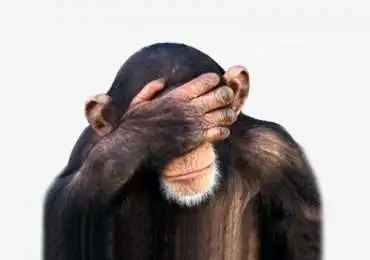 Who are you -why are you here?-Airplanes-Sky-spacecraft in the cosmos-human cell -wireless technology -quest -Body -Mind-heart -Soul -Physically-Emotionally-intellectually