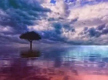 mind-mindset-peace of mind-state of mind-happiness-happy thoughts-being-happy-be happy-always be happy-my happiness-ego-mind-mindset-peace of mind-body-human body